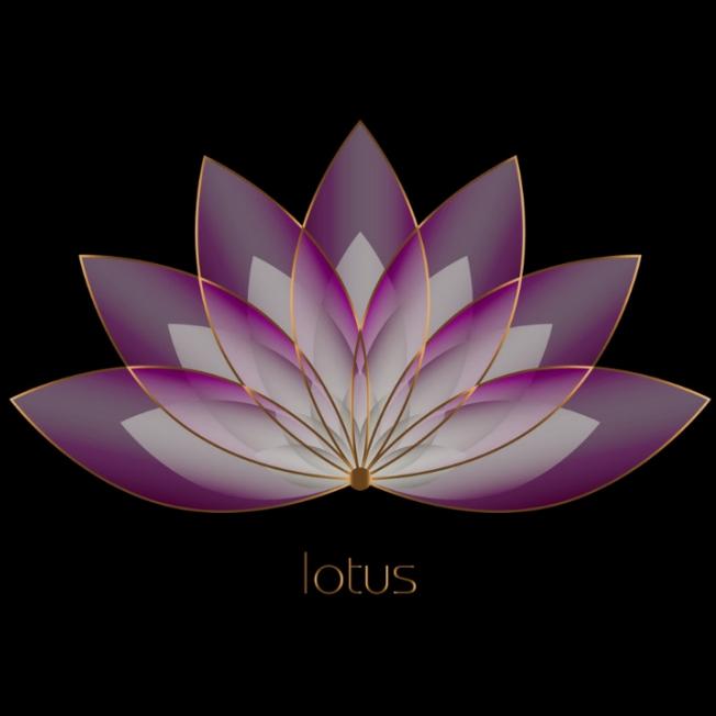 Wellness - HaarArt