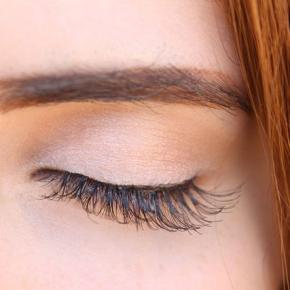 Wimpern